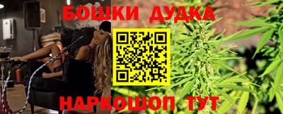 индика Абакан