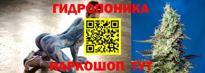 индика Абакан