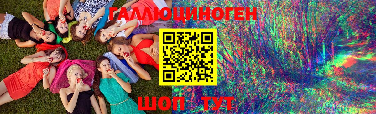 Алексеевка  Псилоцибиновые грибы Psilocybine cubensis  наркота  Вход с VPN 